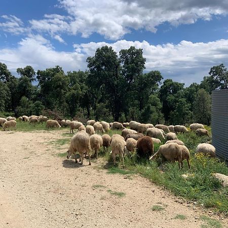 Can Maimes Agullana Εξωτερικό φωτογραφία