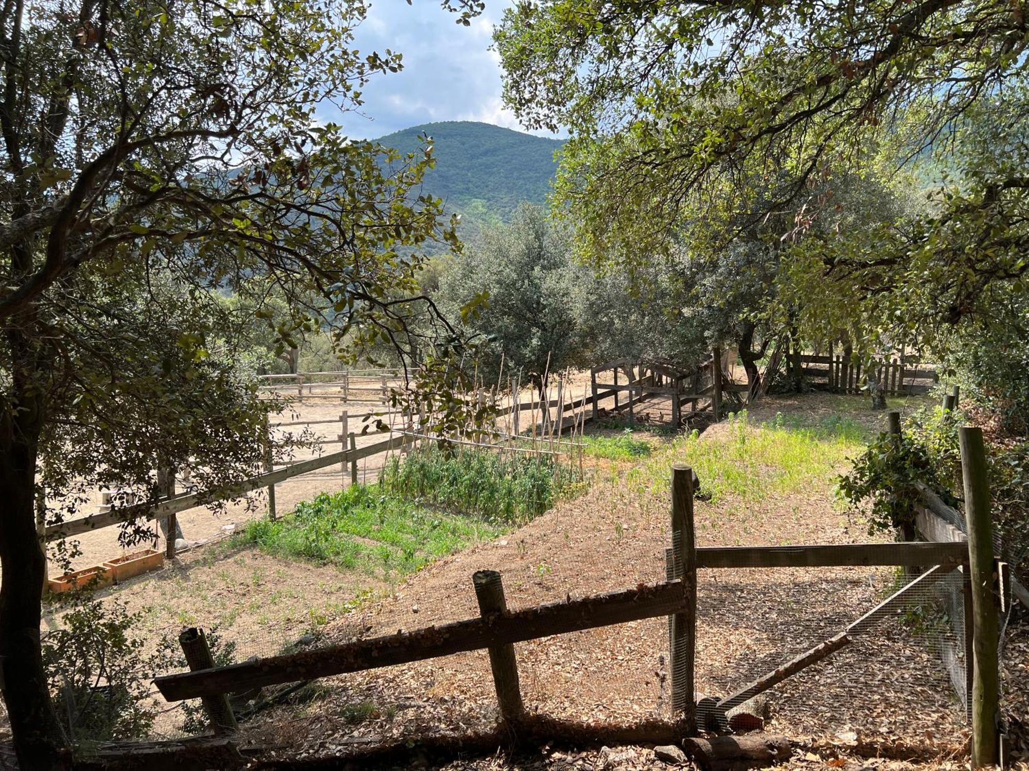 Can Maimes Agullana Εξωτερικό φωτογραφία