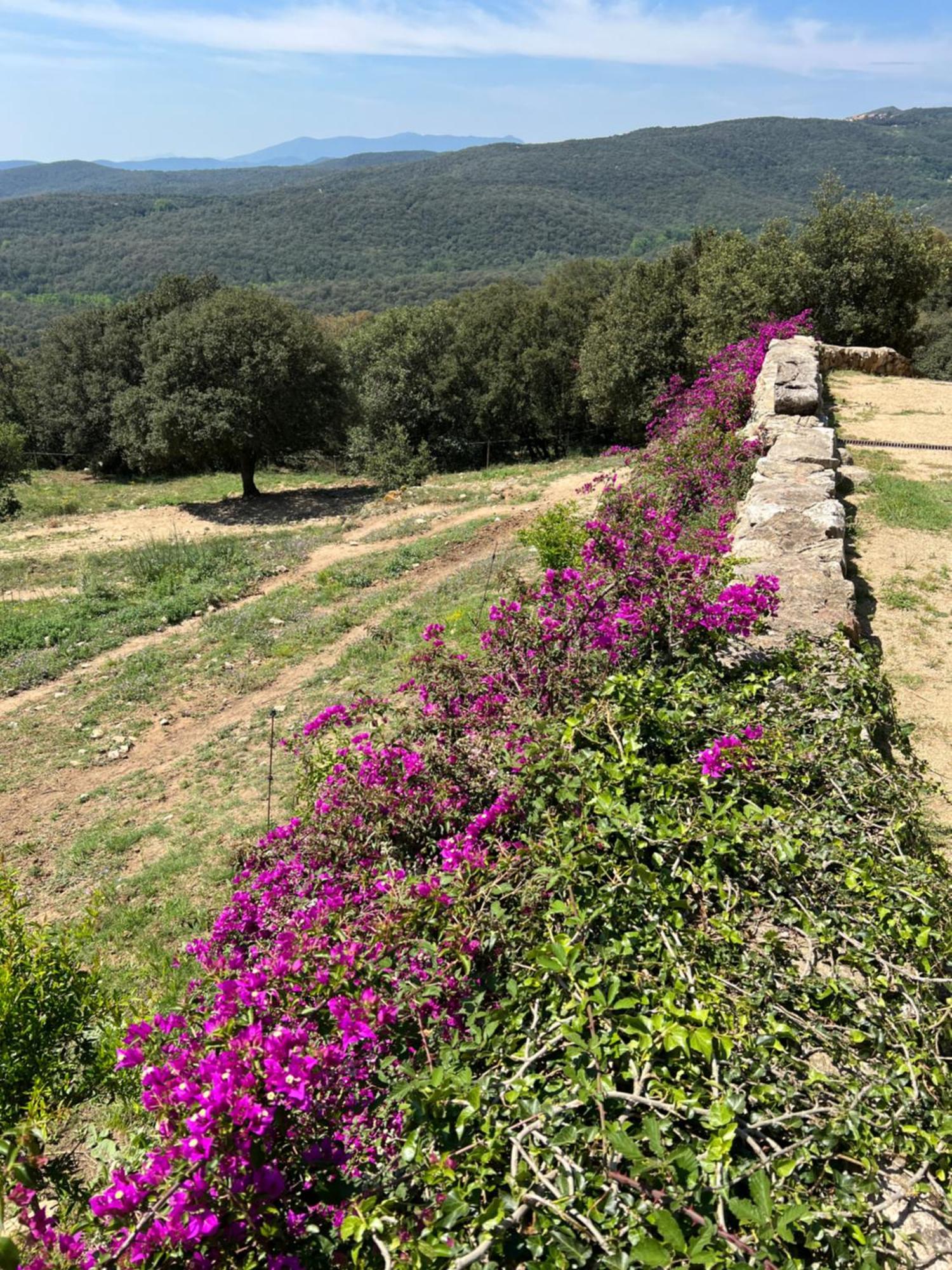 Can Maimes Agullana Εξωτερικό φωτογραφία